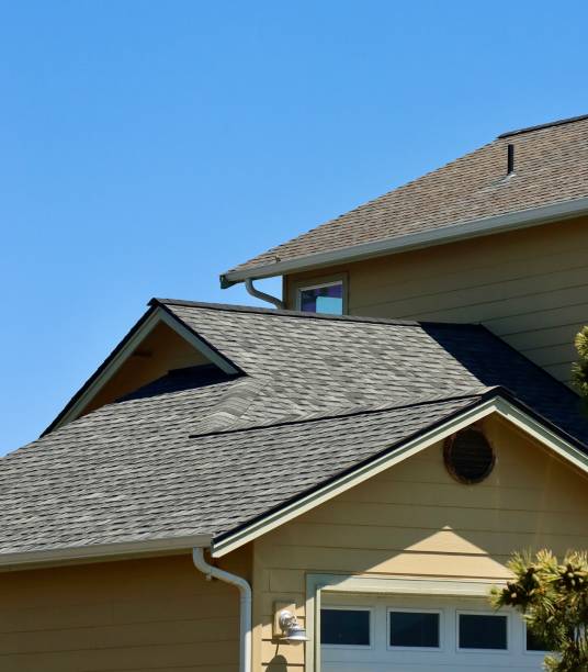 Best Skylight Installation and Repair  in Fairplay, GA